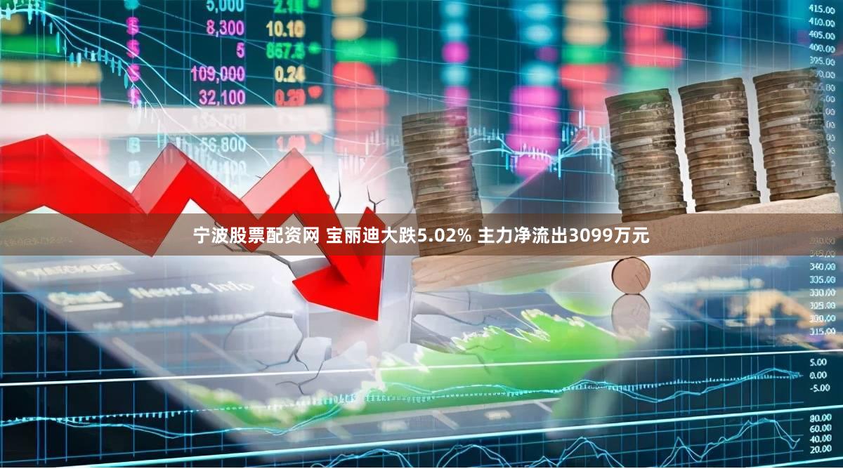 宁波股票配资网 宝丽迪大跌5.02% 主力净流出3099万元