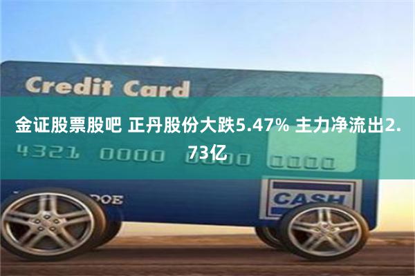 金证股票股吧 正丹股份大跌5.47% 主力净流出2.73亿