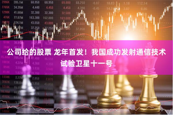 公司给的股票 龙年首发！我国成功发射通信技术试验卫星十一号